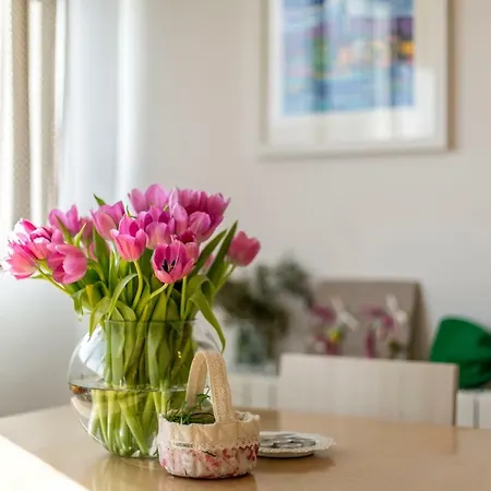 Zrinka Appartement